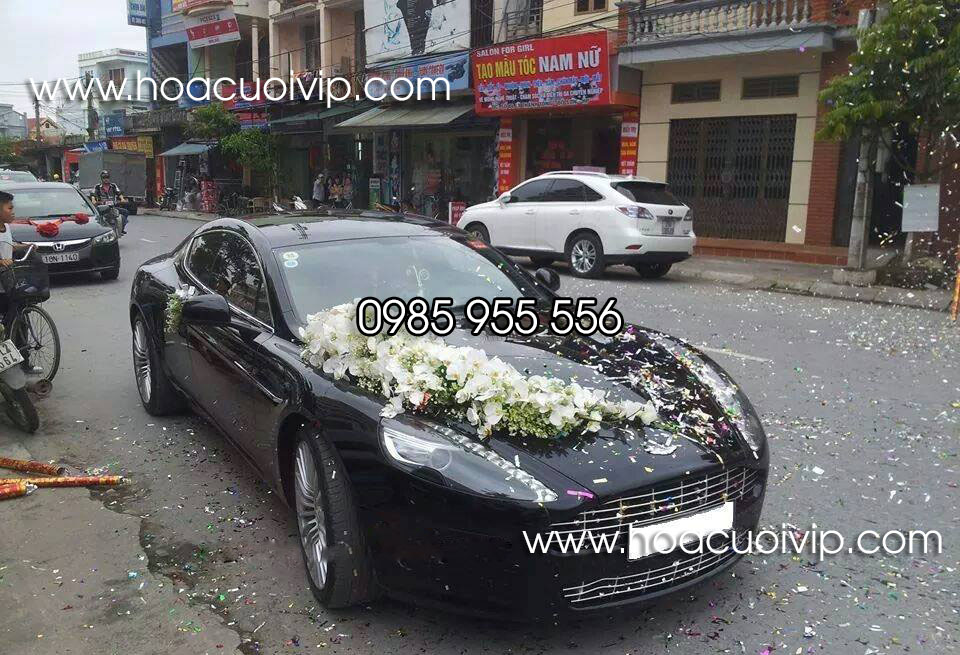 thuê xe cưới Aston Martin rapide màu xanh đen