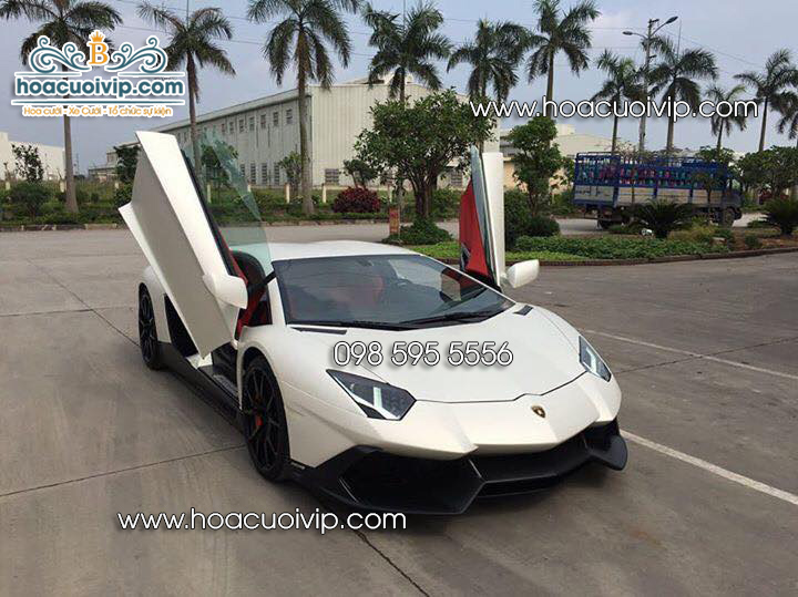 Thuê xe cưới Lamborghini Aventador màu trắng